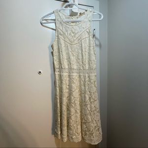 Lace Dress
